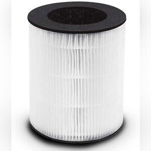 HoMedics TotalClean 3-in-1 HEPA-Type Filter Replacement for AP-T20 and AP-T20WT